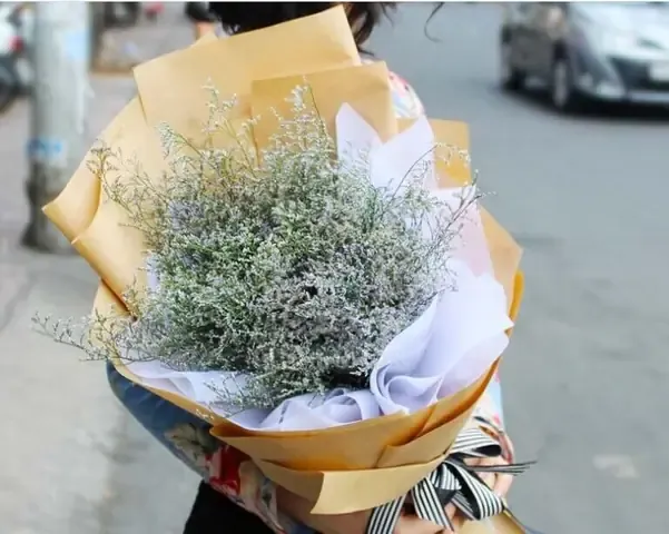 Lợi Ích Của Hoa Sao Tím và Cách Ứng Dụng Trong Trang Trí