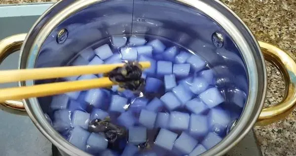 Lưu ý khi thay chậu bạc hà Peppermint