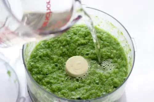 Mô tả chi tiết quá trình trồng cành giâm cây lá đắng vào bầu đất