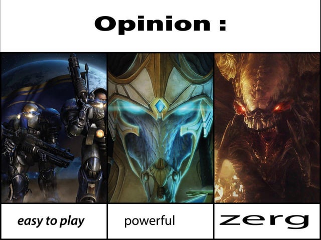 cách trồng cây thủy nữ Toàn Diện Cho Người Mới Bắt Đầu