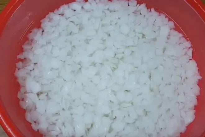 Ngâm chậu bạc hà trong nước ấm để cải thiện độ ẩm đất trước khi trồng