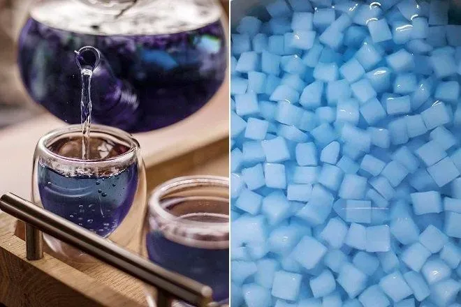 Nhân giống bạc hà Peppermint bằng cành giâm trong nước để giữ hương vị