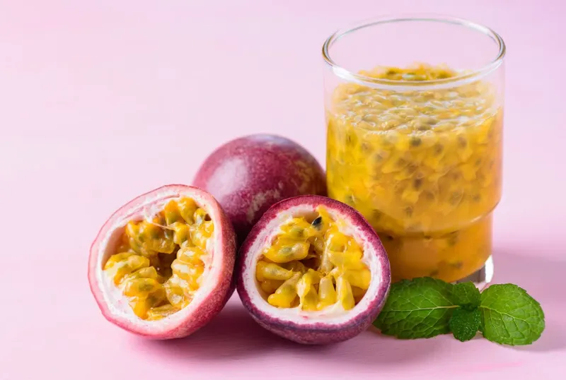 Nhãn lòng tím có khả năng chống chịu sâu bệnh tốt và được ưa chuộng