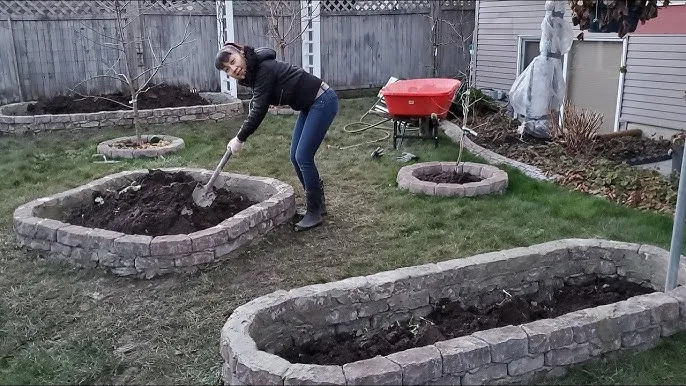 Phân tích cấu trúc đất trồng cây cảnh thông qua kính lúp