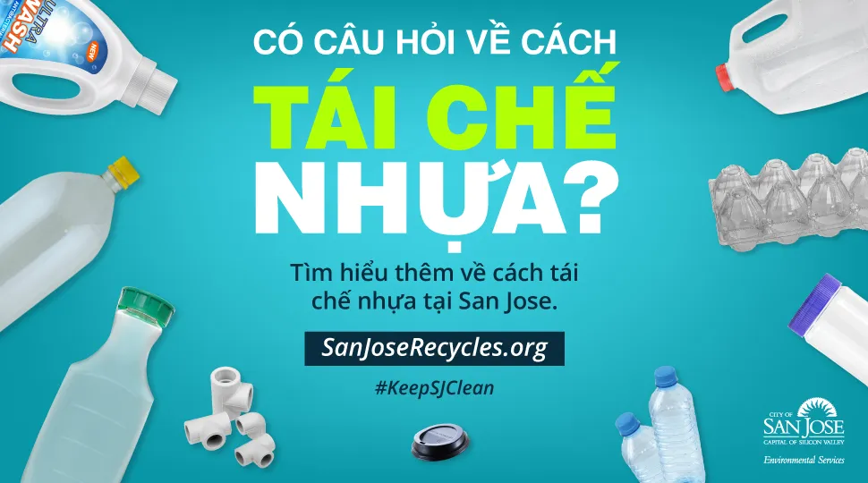 Quá trình chuẩn bị đất trồng giúp hoa hướng dương khổng lồ phát triển