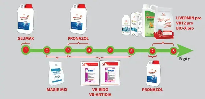 Quy Trình Chuẩn Bị Ao Nuôi/bể Nuôi Trước Khi Thả Cá Giống