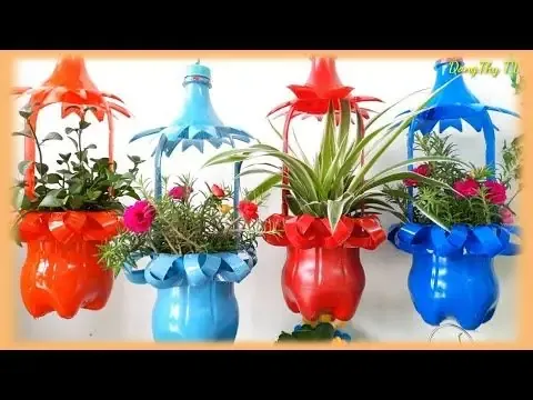 Quy trình chuẩn bị đất trồng và cây giống cho Trúc Pháp