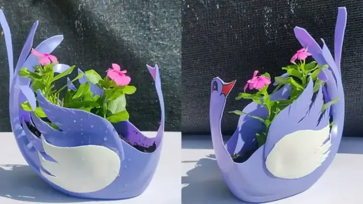 Tái chế chai nhựa thành chậu trồng rau - trang trí và sắp xếp