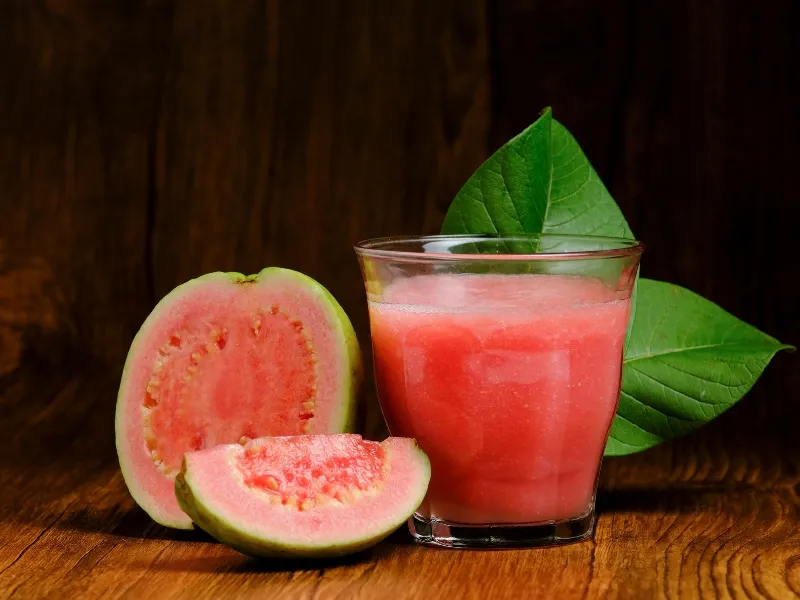 Tập trung thu hoạch những búp trà non chất lượng cao