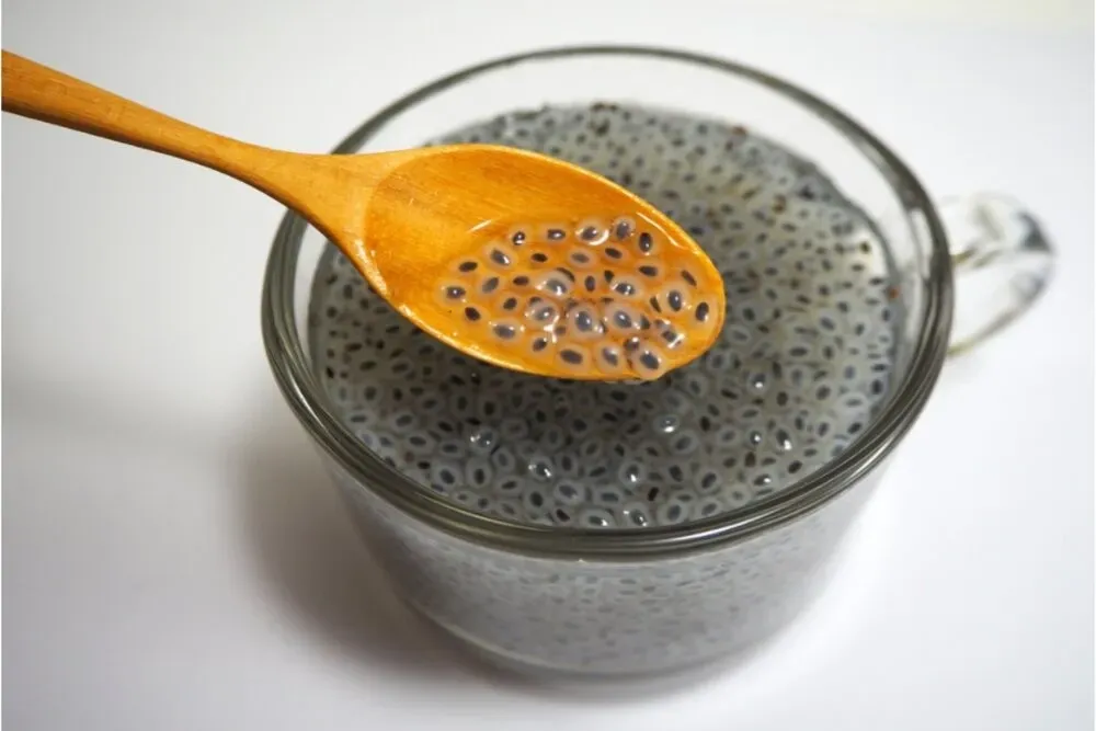 Thận trọng khi sử dụng phân bón, tránh bón quá nhiều phân hóa học cho bạc hà Peppermint