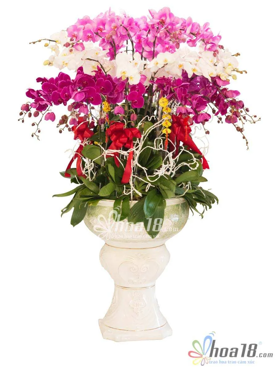 Thiết kế chậu lan hồ điệp tím độc đáo, là gợi ý cho việc trưng bày hoa lan sang trọng và bền lâu