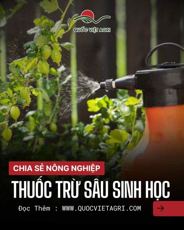 Cách Sử Dụng Dầu Khoáng Cho Cây Trồng: Hướng Dẫn Kỹ Thuật Bảo Vệ Cây Cảnh Toàn Diện
