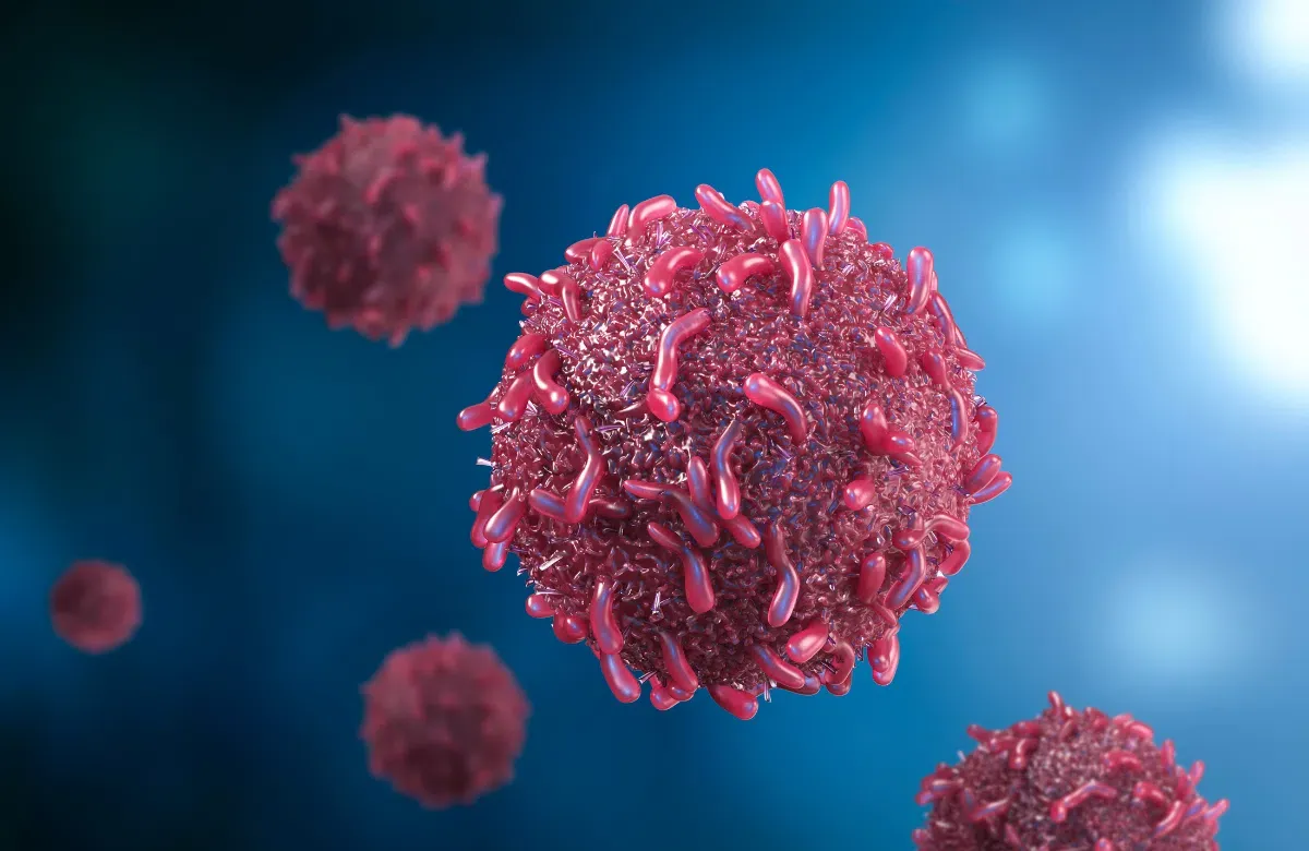 Tính toán mật độ khoảng cách trồng cây vú sữa Hoàng Kim