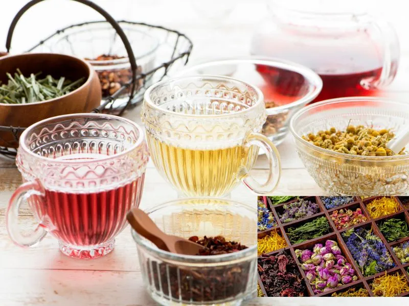 Trà hoa thảo mộc được làm từ các sản phẩm từ cây trà