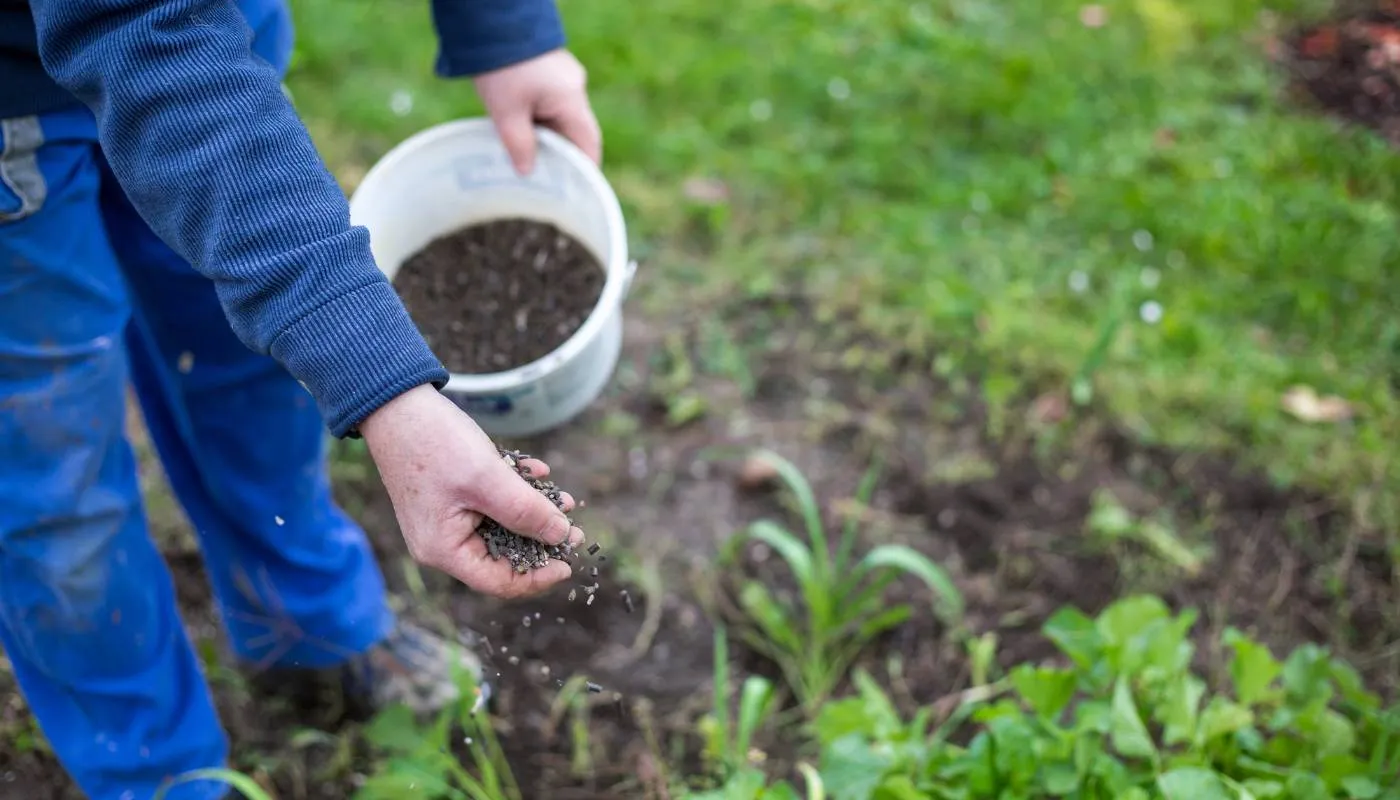Tránh các luồng gió lạnh hoặc nhiệt độ cao đột ngột