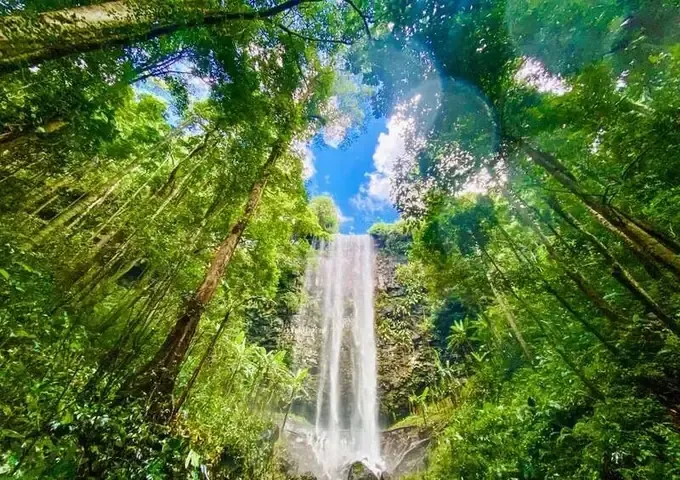 Trốn Nóng Ở Măng Đen (kon Tum): Đà Lạt Thứ Hai