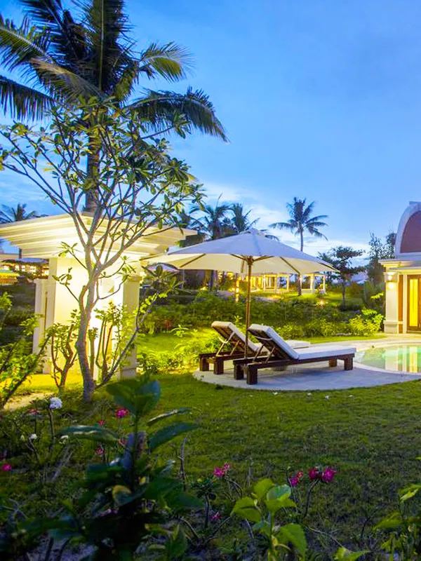 Trồng cây hoa sứ đại