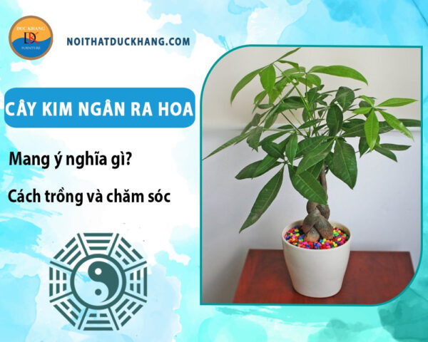 Cách Trồng Cây Kim Ngân Trong Nước: Hướng Dẫn Chi Tiết Từ A Đến Z