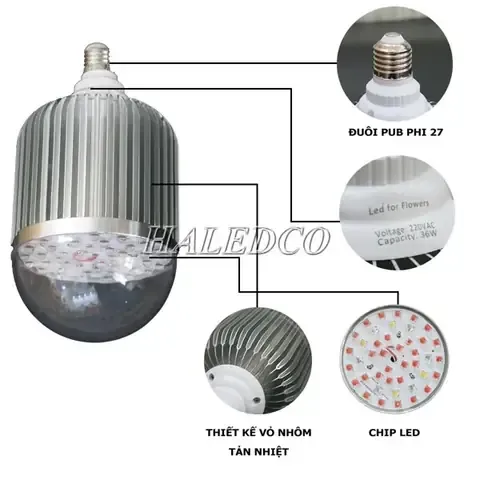 Ứng dụng đèn LED 36W trong kỹ thuật chiếu sáng bổ sung cho việc trồng hoa hồng kinh doanh