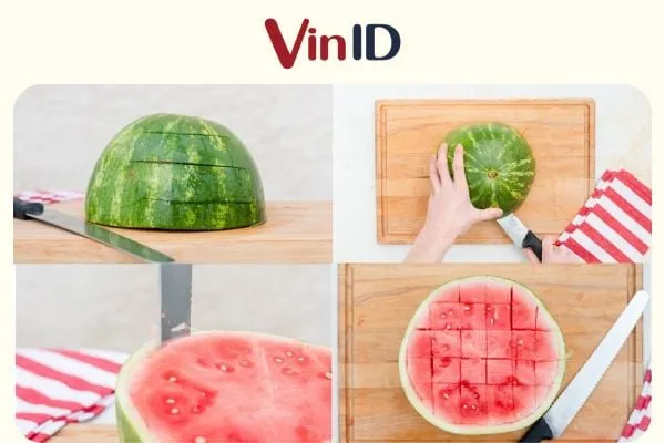 Yêu cầu về độ tơi xốp và dinh dưỡng của đất trồng hoa bươm bướm