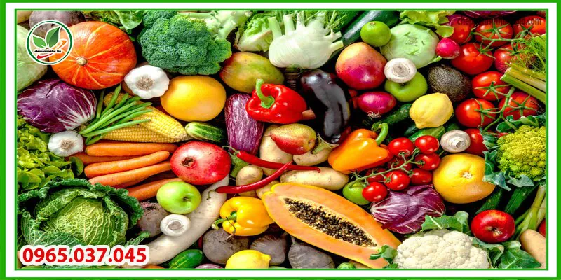 Các loại cây chịu hạn tốt cho mùa khô