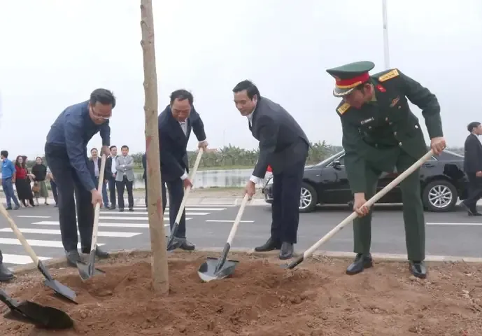 Các Loại Cây Trồng Dải Phân Cách: Tiêu Chí Chọn Lọc Và Ứng Dụng Thực Tế