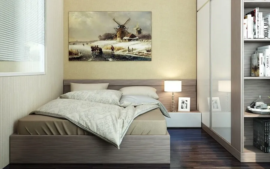 Cây kim tiền với lá xanh bóng, thân vươn thẳng.