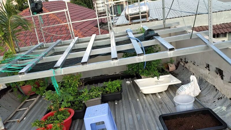 Cách Trồng Cây Trên Mái Tôn An Toàn và Hiệu Quả