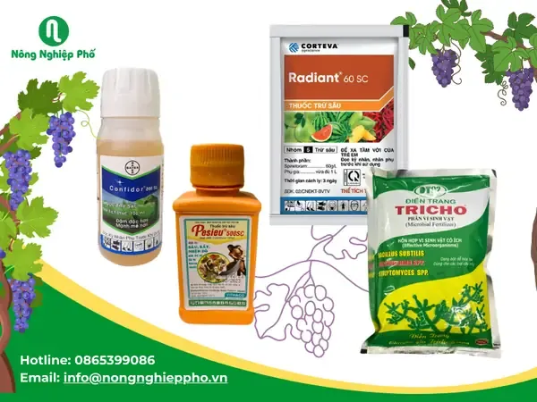 Phòng Trừ Sâu Hại Tấn Công Cây Khi Trồng Nho Trong Chậu