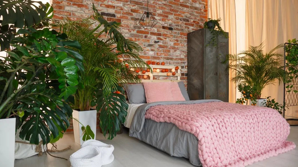 Trồng cây không thể thay thế máy lọc không khí cơ học